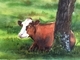 Moo-na Lisa